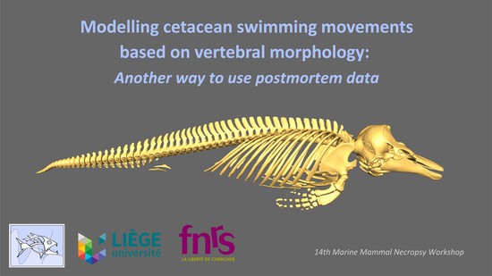 14th Marine Mammal Necropsy Workshop