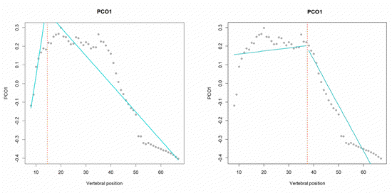 MorphoRegions R-package available